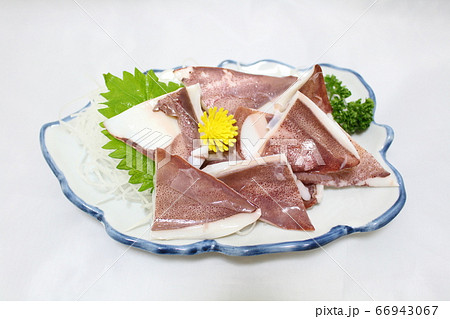 剣先イカの刺身 剣先イカの刺身 66943067
