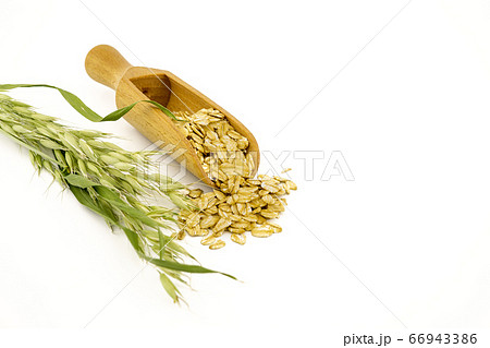 Oat flakes in wooden scoop and an oat branch 66943386