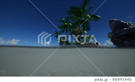 brown muddy water and palms on island 66945440