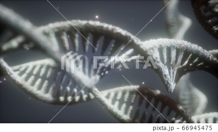 double helical structure of dna strand close-up double helical structure of dna strand close-up 66945475