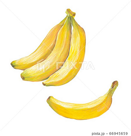バナナ 66945659