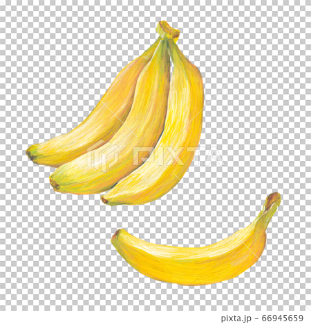 バナナ 66945659