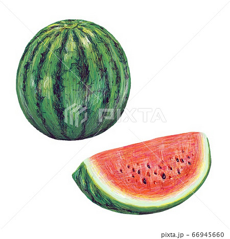 スイカ 66945660