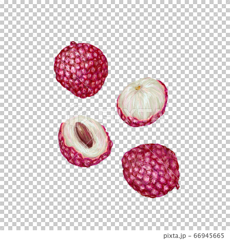 ライチ ライチ 66945665