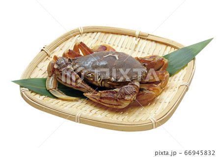 丸ガニ_07(パス付) 丸ガニ_07(パス付) 66945832