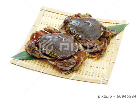 丸ガニ_05（パス付） 66945834