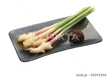葉しょうが_09（パス付） 66945848