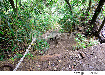 六甲山系トェンティクロス崩落現場 66946106