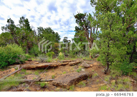 断崖絶壁に栄えて消えた岩窟住宅群メサ・ヴェルデ国立公園 66946763