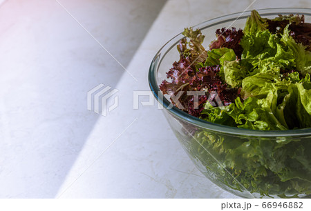 Mix of green and red lettuce in large glass bowl 66946882