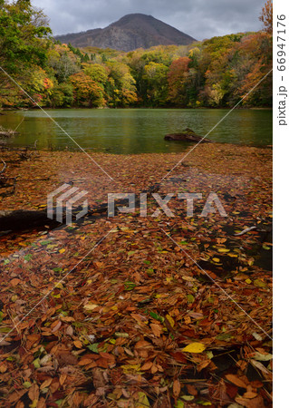 黄葉と水中の落葉 66947176