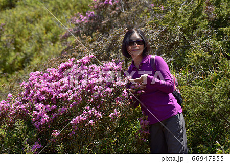 林 森 樹林 66947355