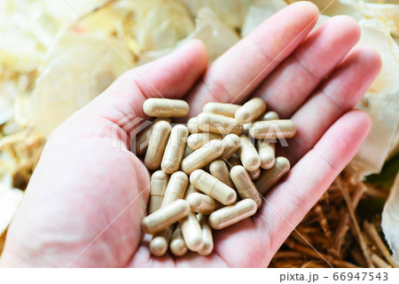 Herbal capsules from herbs healthy lifestyle - Herbal capsules from herbs healthy lifestyle - 66947543