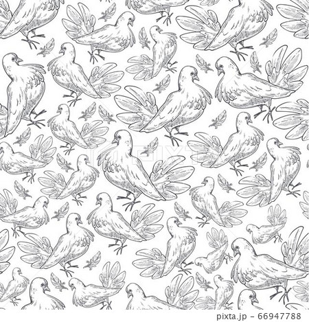 Pigeons print, flying doves, colorless birds seamless pattern 66947788