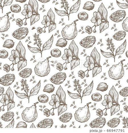 Exotic fruits and herbs, tropic plants seamless pattern 66947791