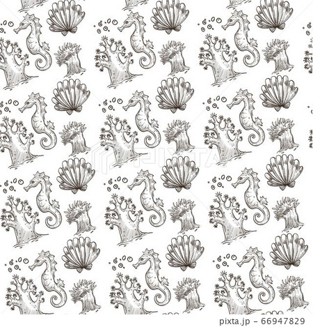 Seahorse and shell, seaweed underwater flora and fauna seamless pattern 66947829