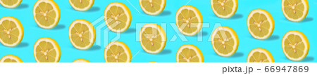 Tropical pattern of lemon citrus wheel on green mint color background. Tropical pattern of lemon citrus wheel on green mint color background. 66947869