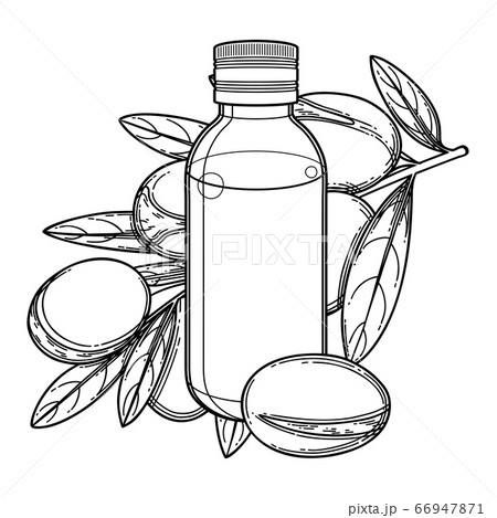 Graphic oil bottle surrounded by argan plants. 66947871