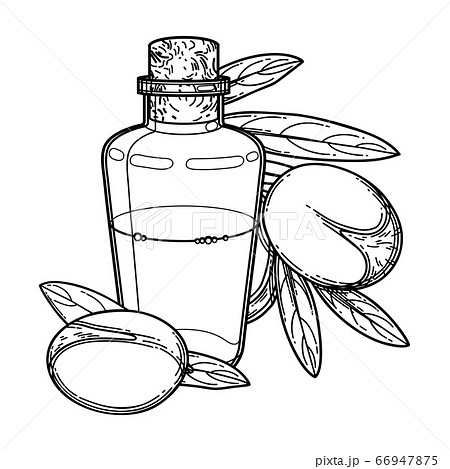 Graphic oil bottle surrounded by argan plants 66947875