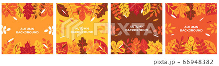 Autumn background Autumn leaves for banner, poster and advertising 66948382