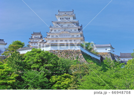 【兵庫県】 新緑の姫路城 66948708