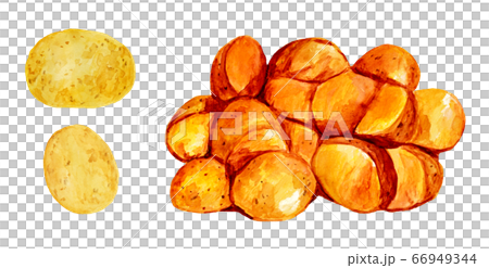 新ジャガイモと甘辛煮(水彩画) 66949344