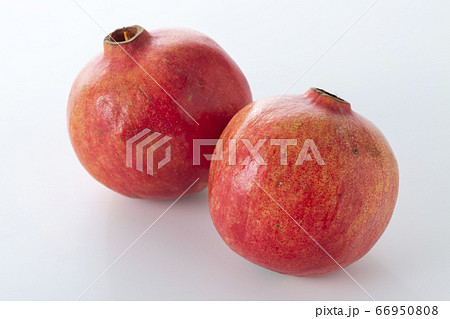 ザクロ（柘榴） 66950808