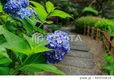 雨のおふさ観音 66950819