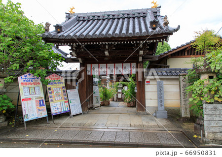 雨のおふさ観音 雨のおふさ観音 66950831