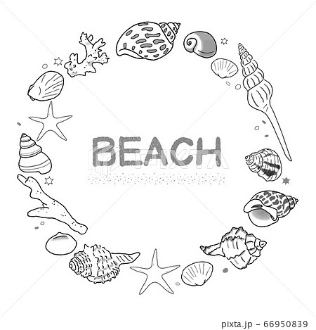 カラフルな貝殻とサンゴとヒトデのフレームのイラスト素材