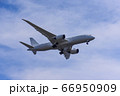 飛行機 66950909
