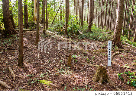 赤谷山（東殿山）城跡：大手曲輪跡 66951412