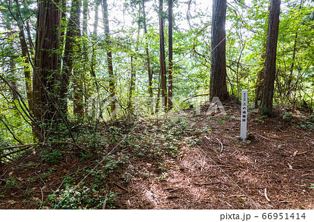 赤谷山（東殿山）城跡：三の曲輪跡 66951414