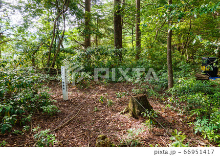 赤谷山（東殿山）城跡：二の曲輪跡 66951417