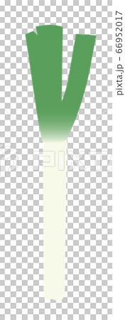 Green onion Green onion 66952017