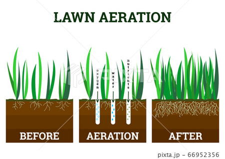 Vector illustration of stages lawn aeration. Before and after steps. Concept of lawn grass care, gardening service, benefits of aeration. Water, air and fertilizer having easy access to soil Vector illustration of stages lawn aeration. Before and after steps. Concept of lawn grass care, gardening service, benefits of aeration. Water, air and fertilizer having easy access to soil 66952356