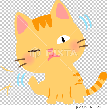 貓用後腿撓頭 66952436