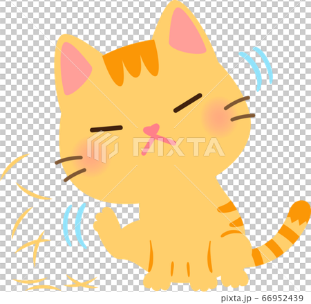 貓撓頭撓頭 66952439