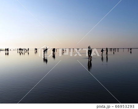 高美湿地 高美湿地 66953293