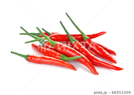 Hot red chili peppers isolated on white background Hot red chili peppers isolated on white background 66953309