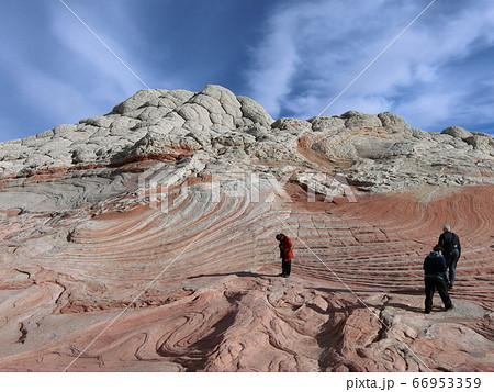 ホワイトポケット ホワイトポケット 66953359