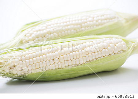 白いトウモロコシ ピュアホワイト 夏野菜 白いトウモロコシ ピュアホワイト 夏野菜 66953913