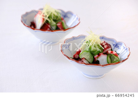 タコの酢の物 タコの酢の物 66954245