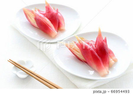 ミョウガの甘酢漬け 66954493