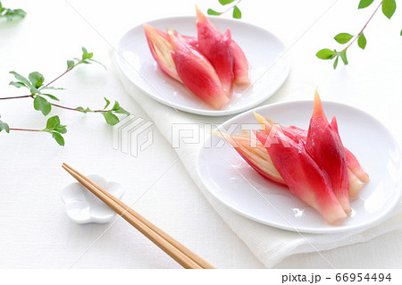 ミョウガの甘酢漬け 66954494