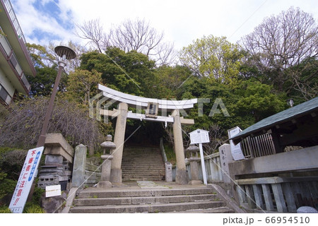 柿本神社(兵庫県明石市) 柿本神社(兵庫県明石市) 66954510