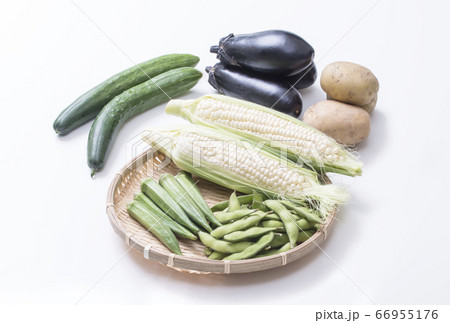 夏野菜 枝豆とオクラとトウモロコシ 茄子と胡瓜とジャガイモ 夏野菜 枝豆とオクラとトウモロコシ 茄子と胡瓜とジャガイモ 66955176
