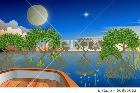 landscape of mangove forest on the beach in sunset on wooden boat 66955662