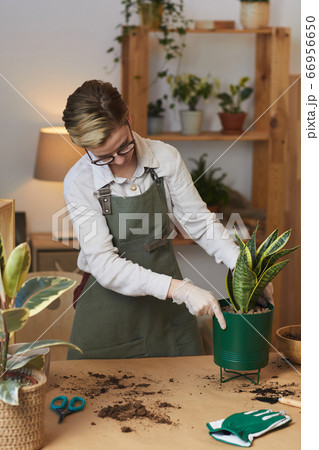 Young Woman Enjoying Home Gardening Young Woman Enjoying Home Gardening 66956650