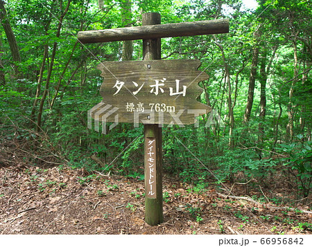タンボ山看板（ダイヤモンドトレール） 66956842